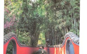 成都市造价信息 2021年10期